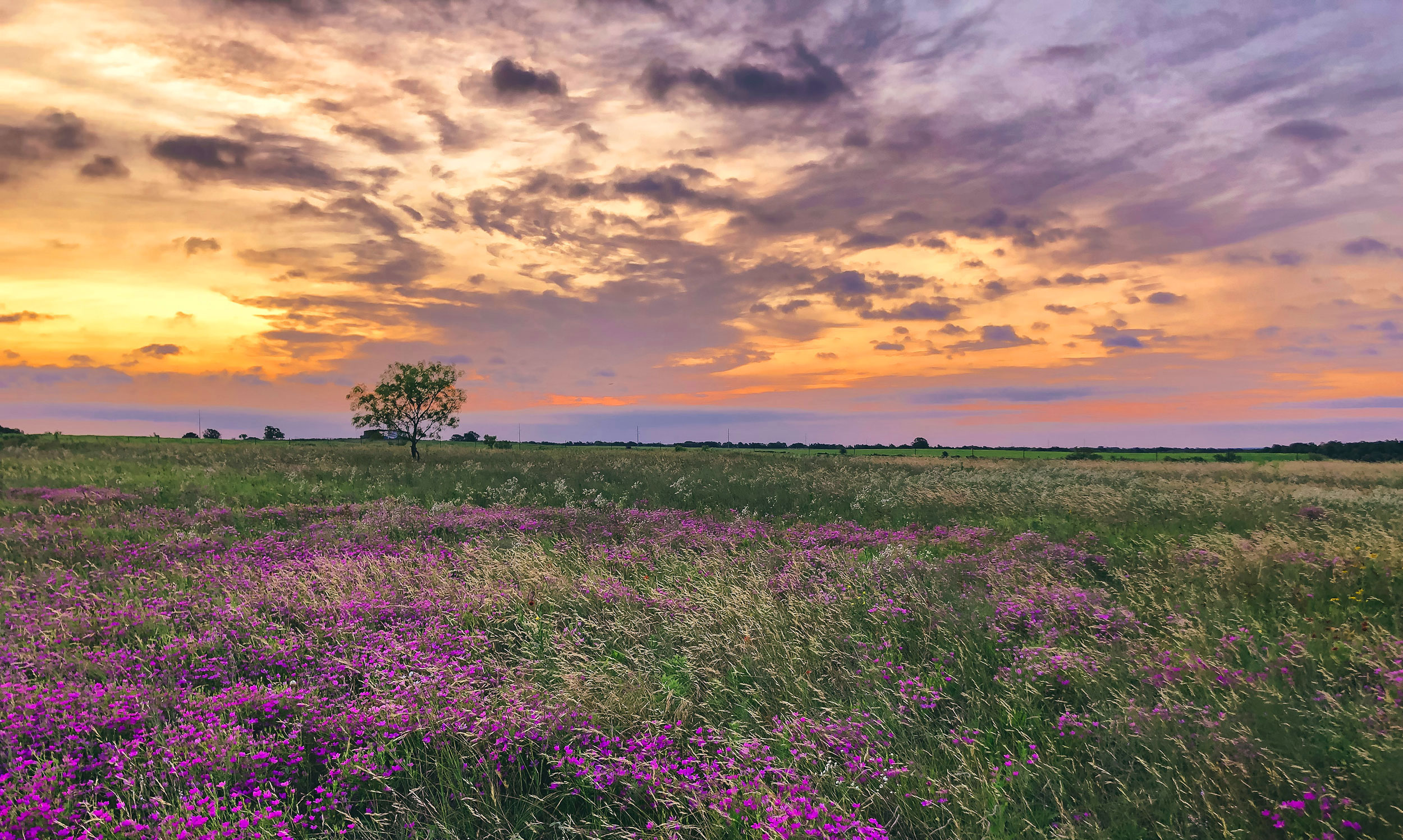 texas-countryside-2-rural-land-near-houston